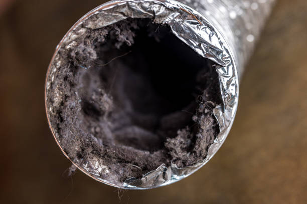 Best Dryer Vent Cleaning in Pratt, KS